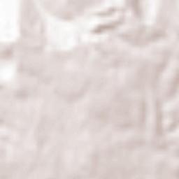 Montevago Terrain Map