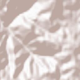 Langádhia Terrain Map