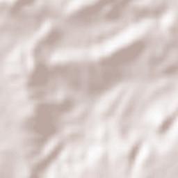 Montemayor Terrain Map