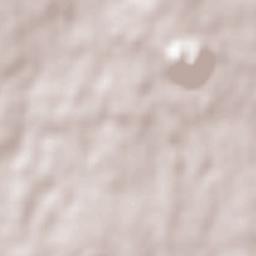 Villaggio del Pino-Le Ginestre Terrain Map