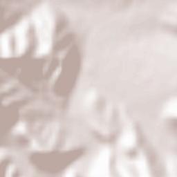 Başkavak Terrain Map