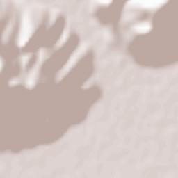 Çeltikçi İlçesi Terrain Map