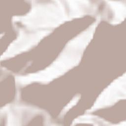 Başaran Terrain Map