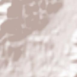 Gwacheon-si Terrain Map