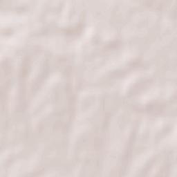 Manzanilla Terrain Map