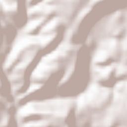 Piazza Armerina Terrain Map