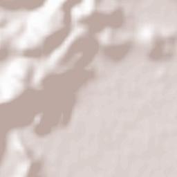 Türkoğlu İlçesi Terrain Map