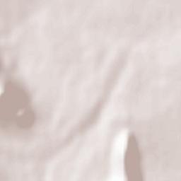 Lora de Estepa Terrain Map