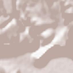 Leonídio Terrain Map