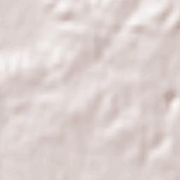 Ferreiras Terrain Map