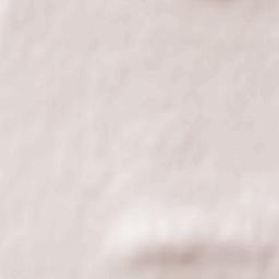 Menzel Bourguiba Terrain Map