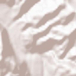 Fayzabad Terrain Map