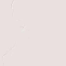 Los Banos Terrain Map