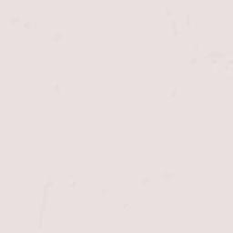 Charleston Terrain Map