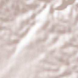 Campanella-Gianforma Terrain Map