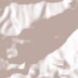 Taşkent Terrain Map