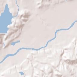 Flora Vista Terrain Map