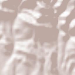 ‘Aqrah Terrain Map