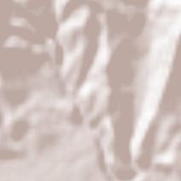 Elvanlı Terrain Map