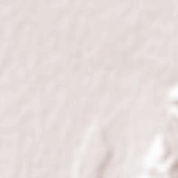 Kamiichi Terrain Map