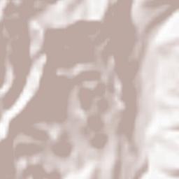 Numata Shi Terrain Map