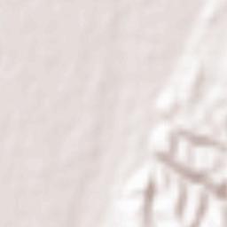 Tonami Shi Terrain Map