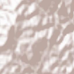 Hitachi-shi Terrain Map