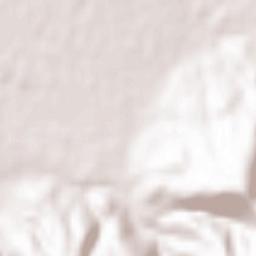 Boû Arfa Terrain Map