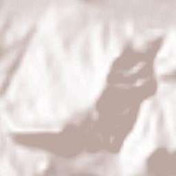 Rouached Terrain Map