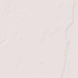 Clarkton Terrain Map