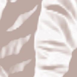 Kalar Dasht Terrain Map