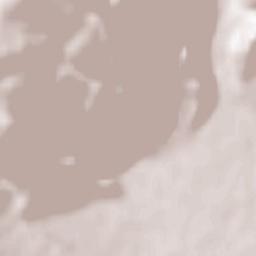 Turunçova Terrain Map