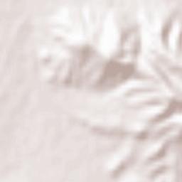 Ueda Shi Terrain Map