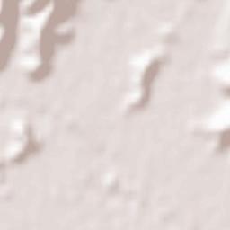 Ashikaga Terrain Map