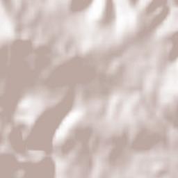 Souk Ahras Terrain Map