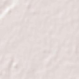 Oyama-shi Terrain Map