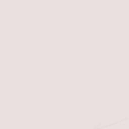 Lemoore Station Terrain Map