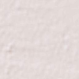 Sakai-nakajima Terrain Map