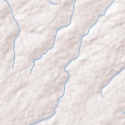 Walkertown Terrain Map