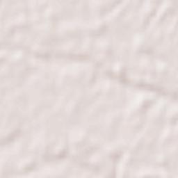 Kasumigaura-shi Terrain Map