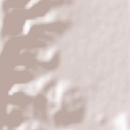 Hacıpaşa Terrain Map