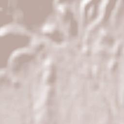 Koysinceq Terrain Map