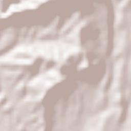 Savojbolagh Terrain Map