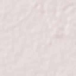 Tsukubamirai-shi Terrain Map