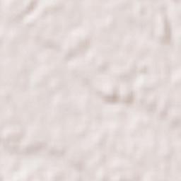 Ushiku-shi Terrain Map