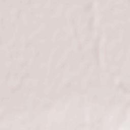 Djidiouia Terrain Map