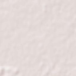 Fujishiro Terrain Map