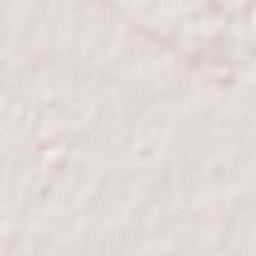 Ryūgasaki Terrain Map