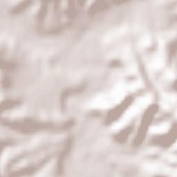 Ammi Moussa Terrain Map