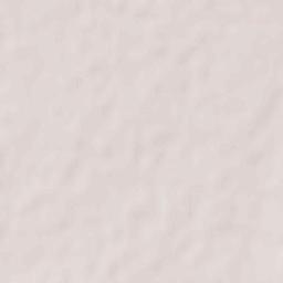 Danesfahan Terrain Map